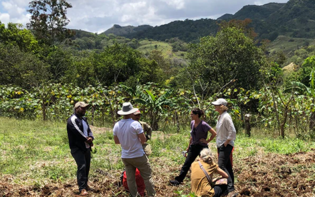 Responsible Sourcing? Theory and Evidence from Costa Rica